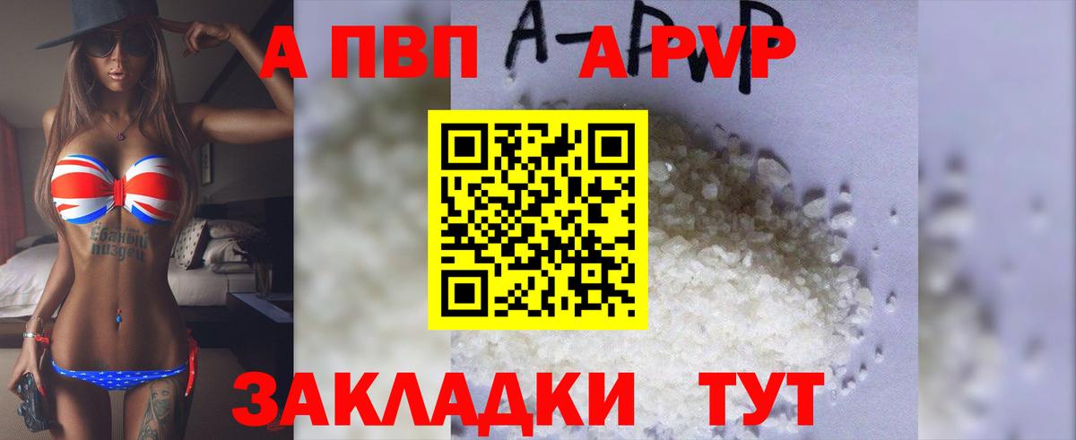 A-PVP СК Елец